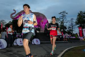 BIB: 
                            <button type="button" onclick="openModal(26529598)" class="btn btn-primary btn-sm float-right btn-popup" data-toggle="modal" data-target=".modal-high-quality">
                        <i class="fas fa-shopping-cart"></i> Add to Cart
                    </button>
                                            <button type="button" onclick="isThisMe(26529598, true)" class="btn btn-success btn-sm float-right btn-popup btn-isme hidden" data-toggle="tooltip" data-placement="bottom" title="นี่คือรูปของคุณใช่ไหม คลิกที่นี่เพื่อเอาเข้าอัลบั้ม">
                        <i class="fas fa-plus"></i> Add to album
                    </button>
                    <button type="button" onclick="isThisMe(26529598, false)" class="btn btn-warning btn-sm float-right btn-popup btn-isnotme hidden">
                        <i class="fas fa-ban"></i> Remove from album
                    </button>